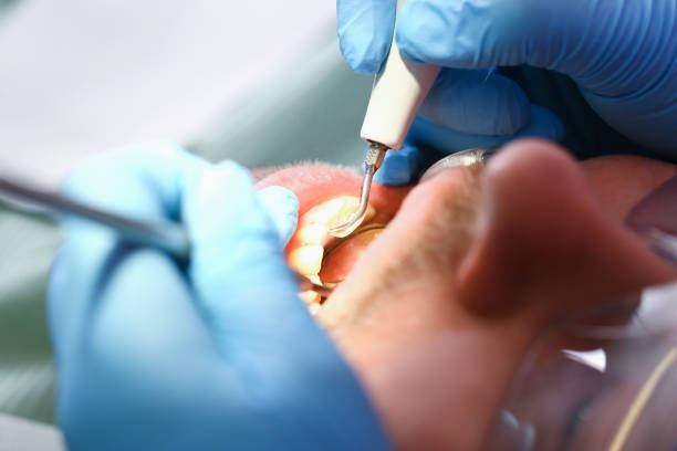 Best Emergency Care for Gum Disease in Farmers Loop, AK